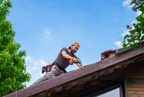 Best Roof Moss and Algae Removal  in Duncanville, TX